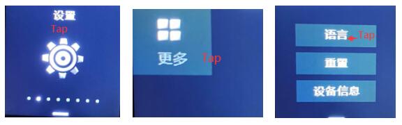 How do I change the language on Feiyu Pocket 3